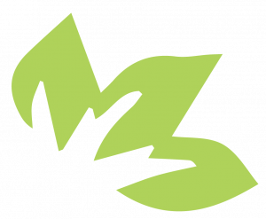 https://www.ryegirlssoftball.com/wp-content/uploads/sites/2827/2023/03/ValuClean-2.png